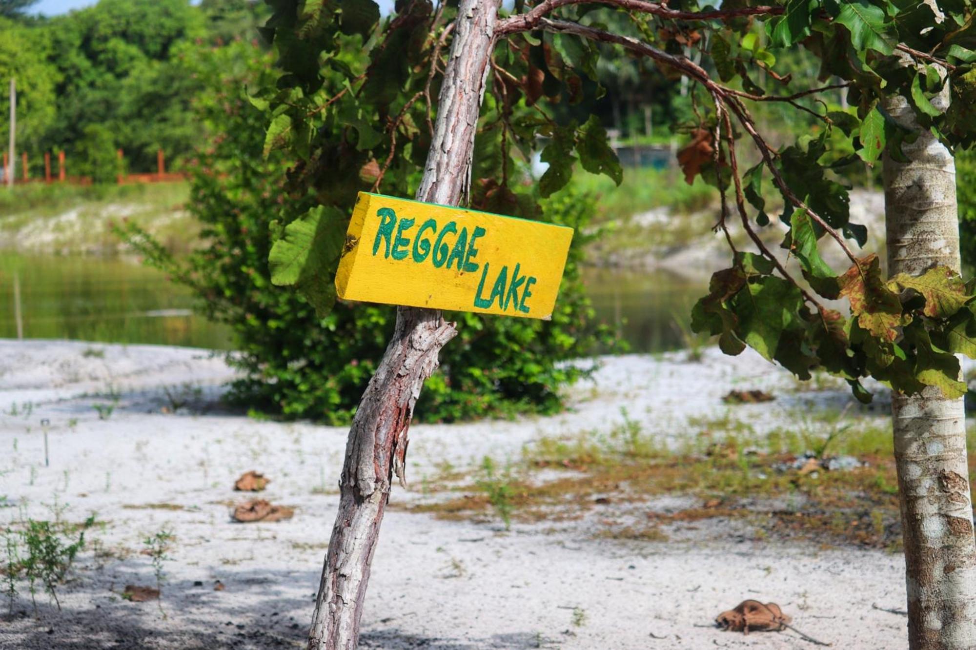Land Of Promise - Reggae Bar & Eco Village Zanderij Eksteriør billede